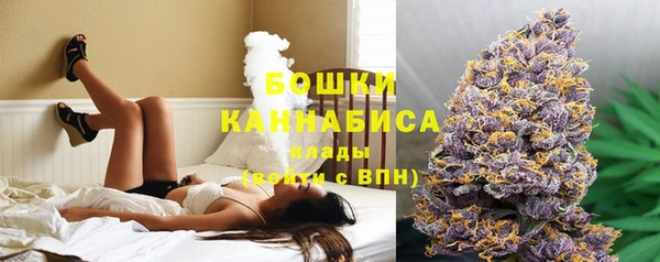 прущие грибы Пролетарск