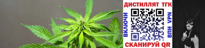 ТГК жижа  Купить  Кудрово 