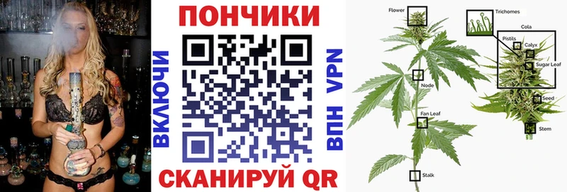 Конопля SATIVA & INDICA  Купить  Кудрово 